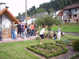 bauergarten-obstbaum