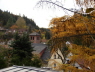 Waldleiningen im Herbst